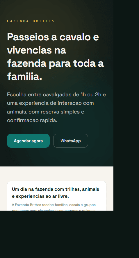 O mesmo site no celular